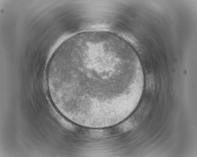 X0000067001470200604241352