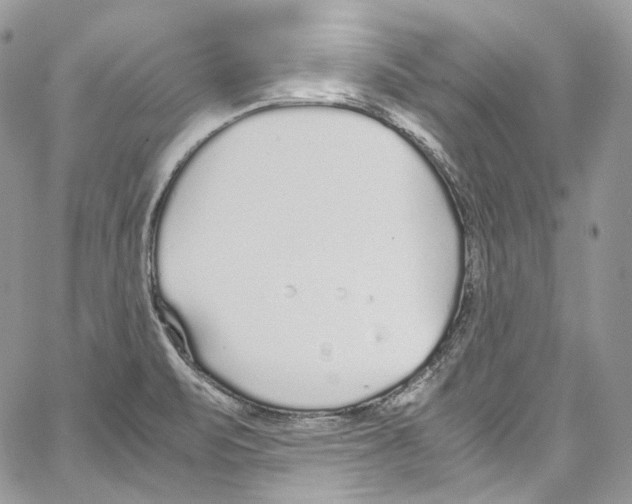 X0000067001471200604241352