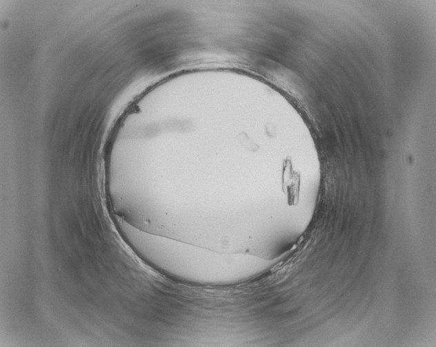 X0000067001472200604241351