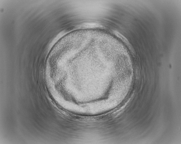 X0000067001473200604241351