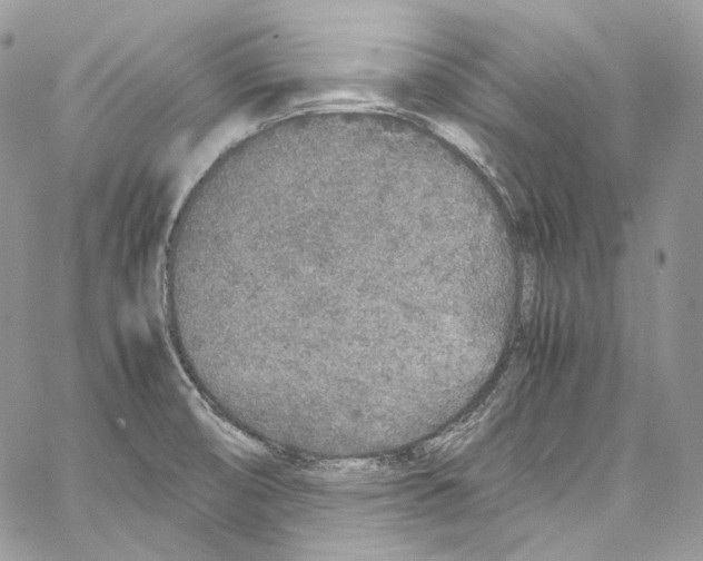 X0000067001474200604241351