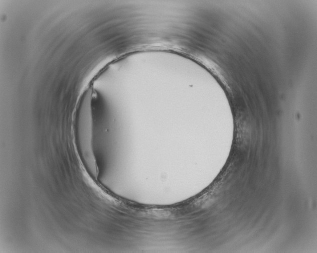 X0000067001476200604241351