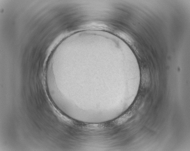 X0000067001478200604241351