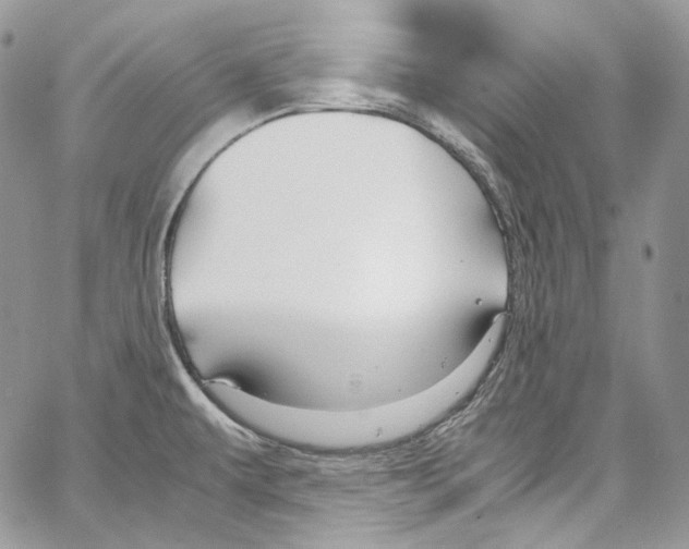 X0000067001479200604241351