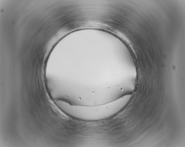 X0000067001480200604241351