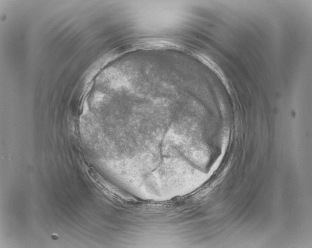 X0000067001481200604241351