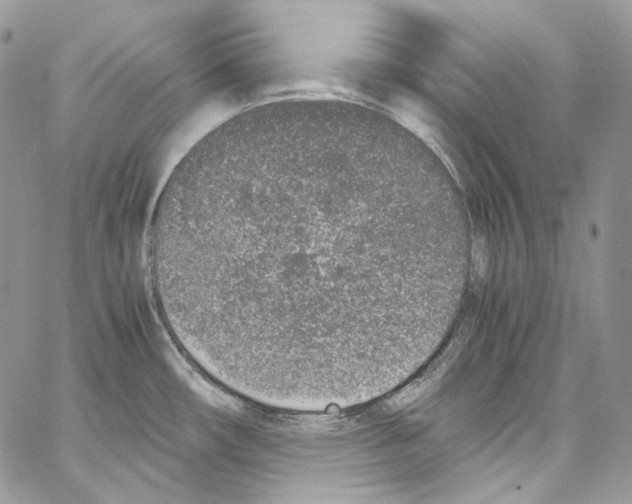 X0000067001482200604241351