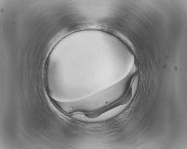 X0000067001483200604241351