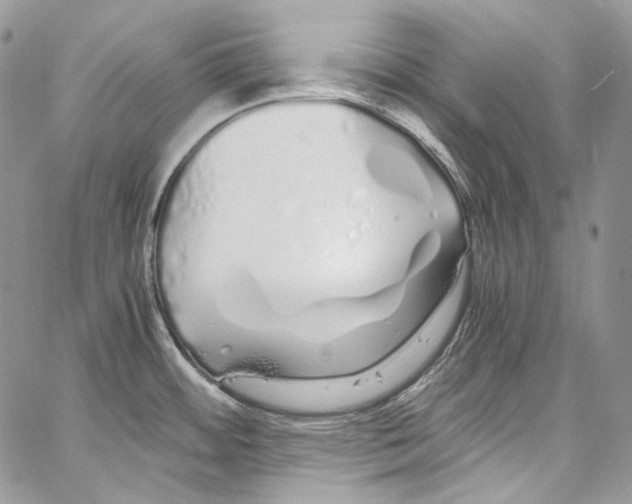 X0000067001484200604241351