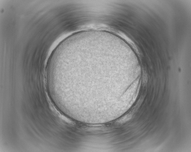 X0000067001486200604241351