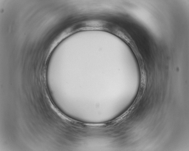 X0000067001487200604241351