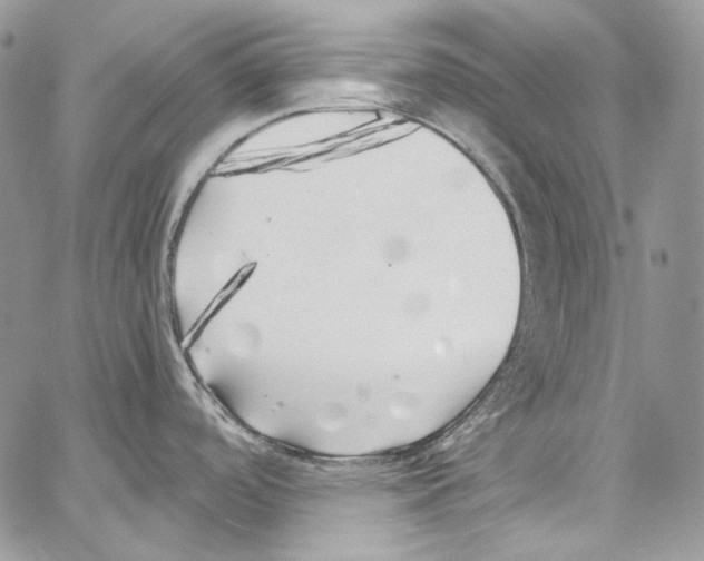 X0000067001488200604241351