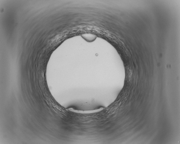 X0000067001489200604241350