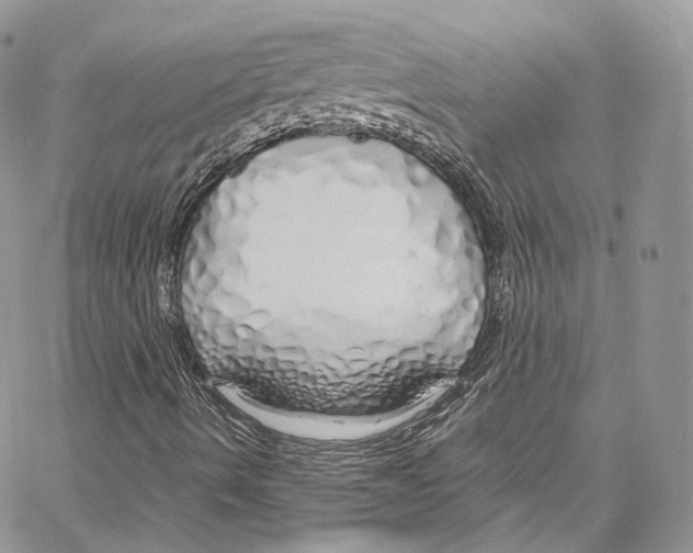 X0000067001490200604241350