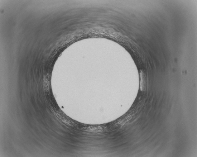 X0000067001491200604241350