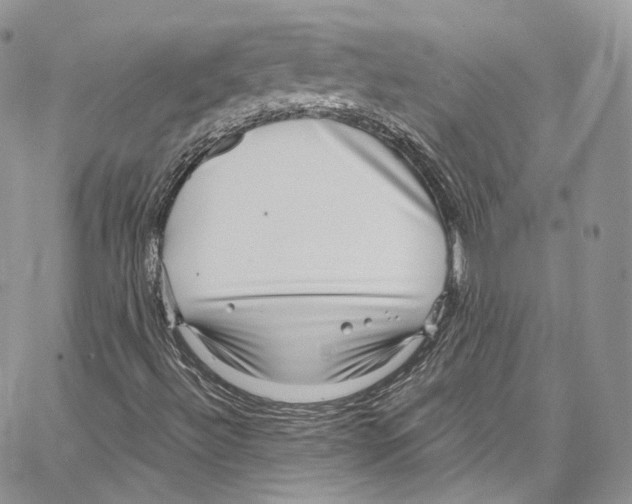 X0000067001492200604241350