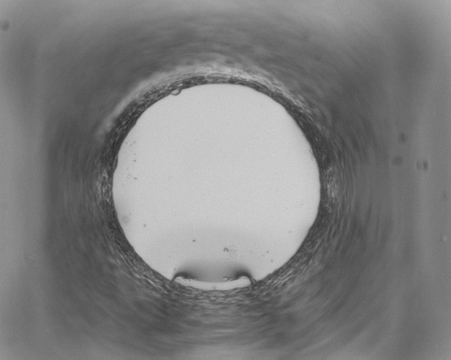 X0000067001495200604241351