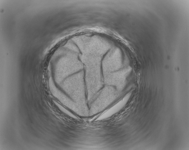 X0000067001496200604241351