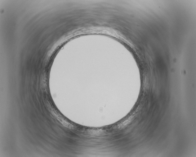 X0000067001498200604241351