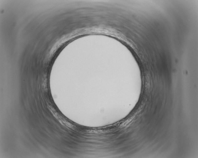 X0000067001499200604241351