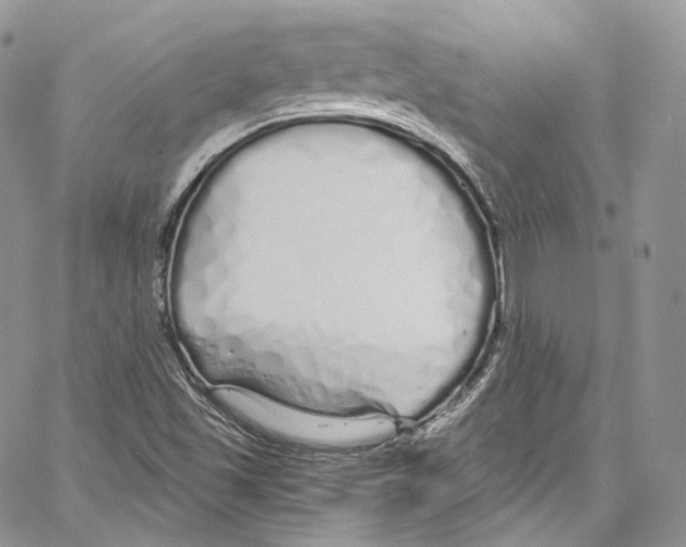 X0000067001501200604241351