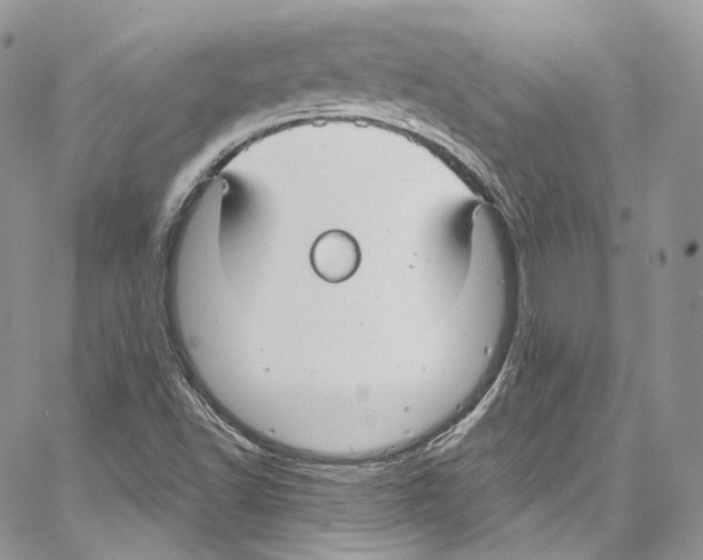 X0000067001502200604241351