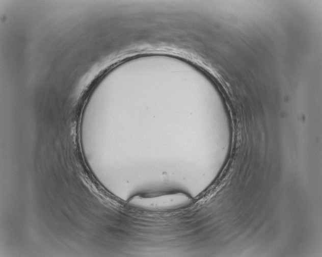 X0000067001503200604241351