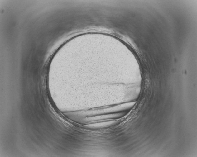 X0000067001504200604241351