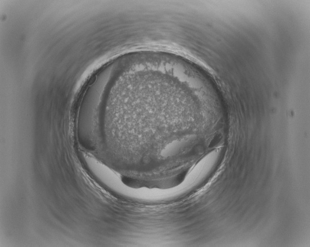 X0000067001506200604241351