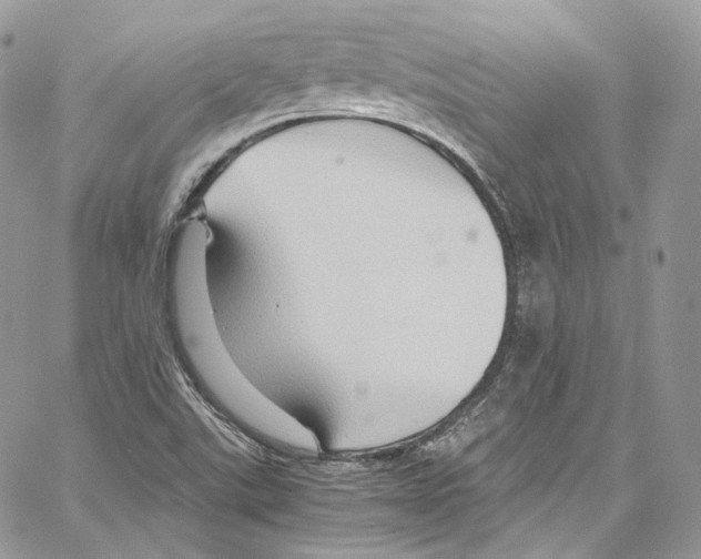 X0000067001507200604241351