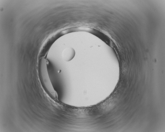 X0000067001508200604241351