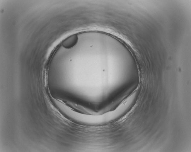 X0000067001510200604241351