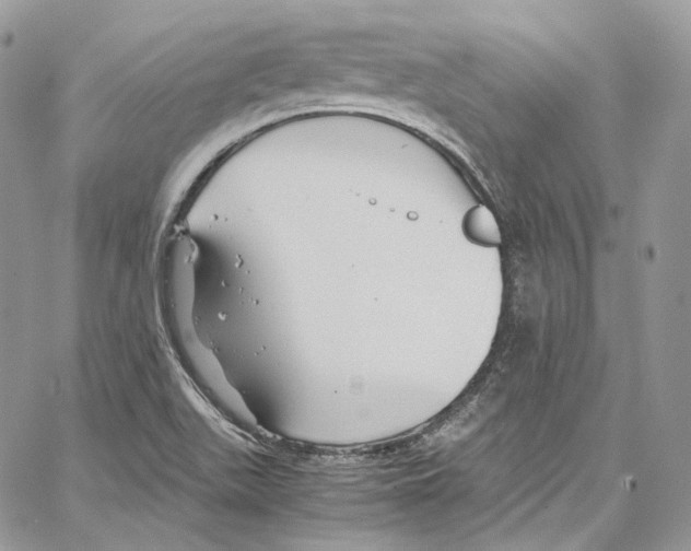 X0000067001511200604241351