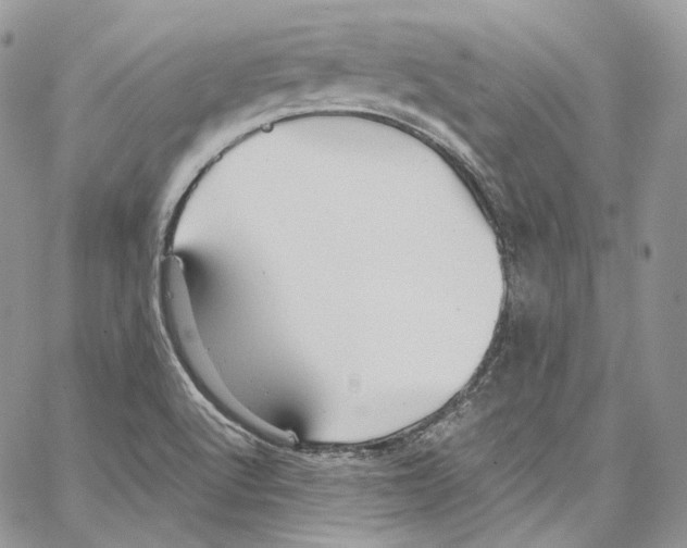 X0000067001512200604241351