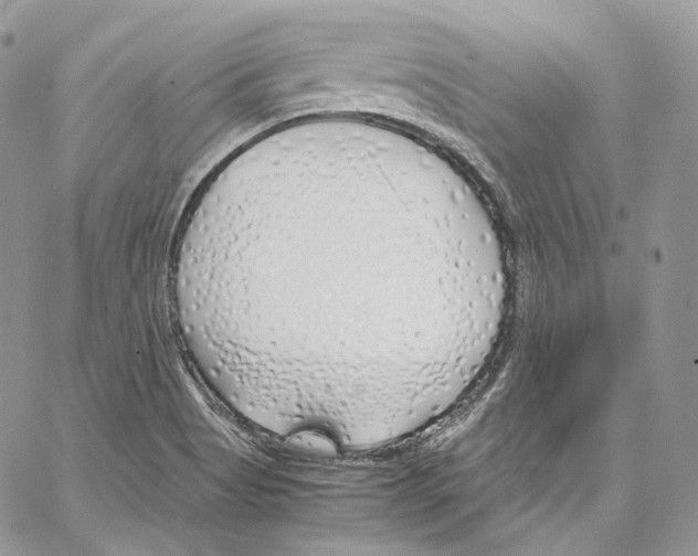 X0000067001513200604241351