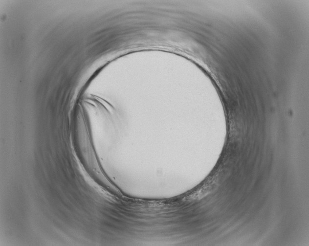 X0000067001515200604241351