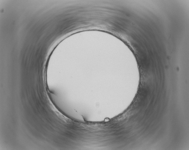 X0000067001516200604241351