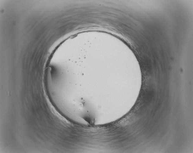 X0000067001518200604241351