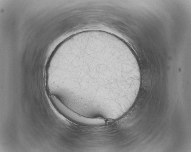 X0000067001519200604241351