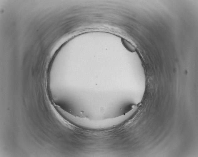 X0000067001523200604241351