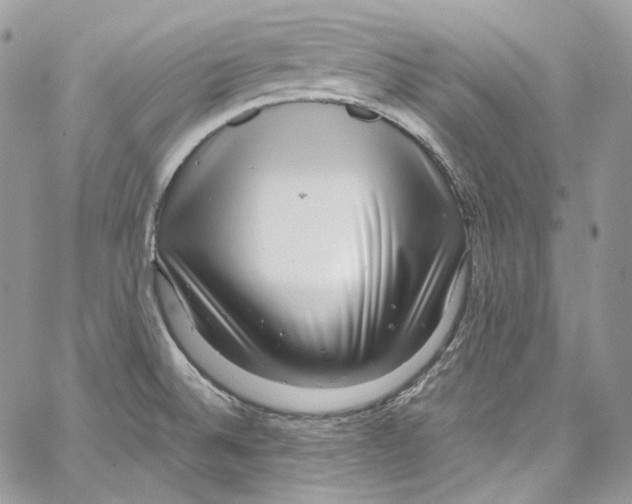 X0000067001524200604241351