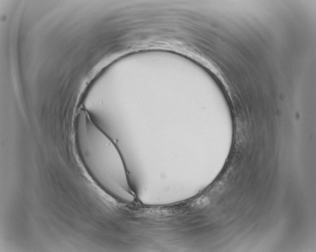 X0000067001525200604241351