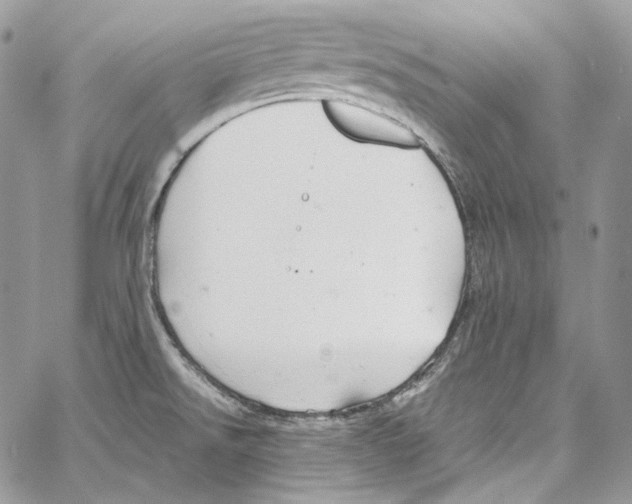 X0000067001526200604241351