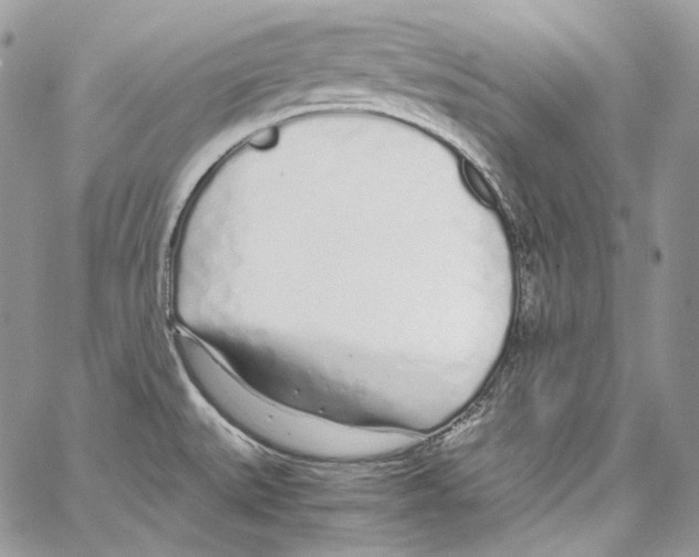 X0000067001527200604241351