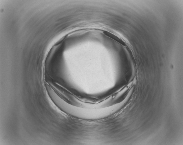 X0000067001528200604241351