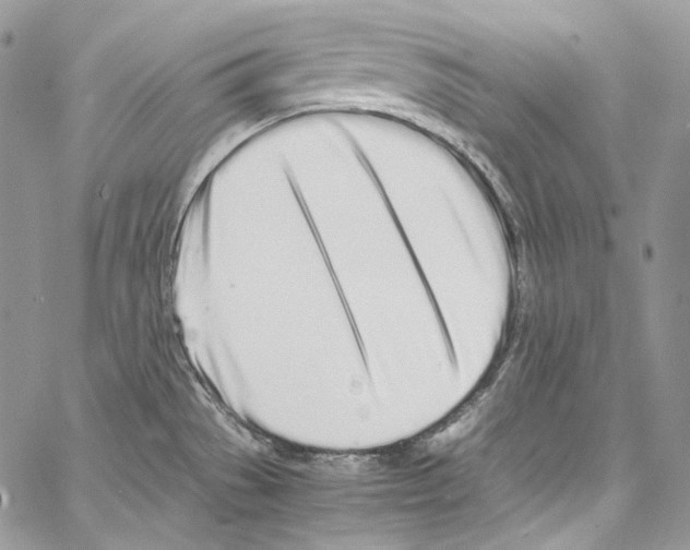 X0000067001529200604241351