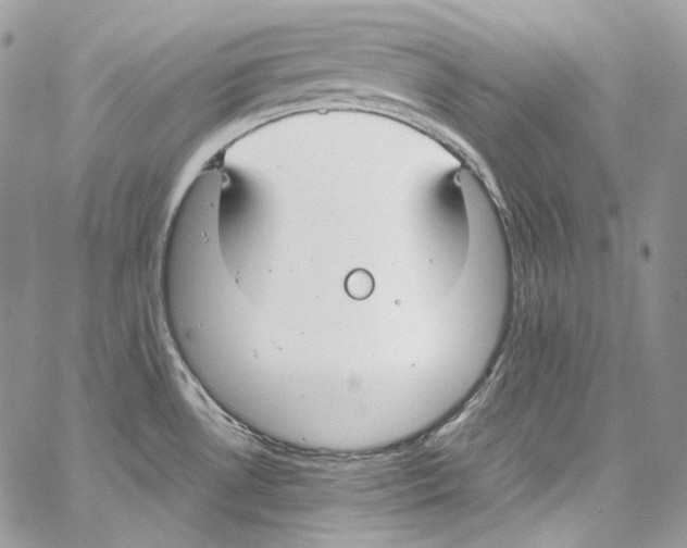 X0000067001530200604241351