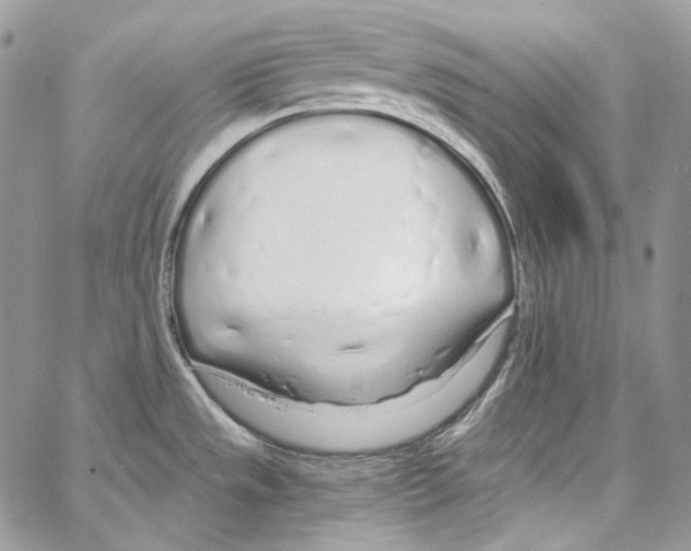 X0000067001533200604241351