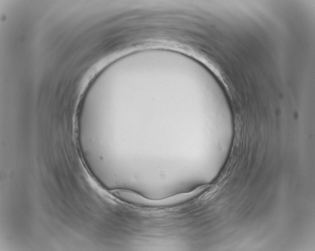 X0000067001535200604241351