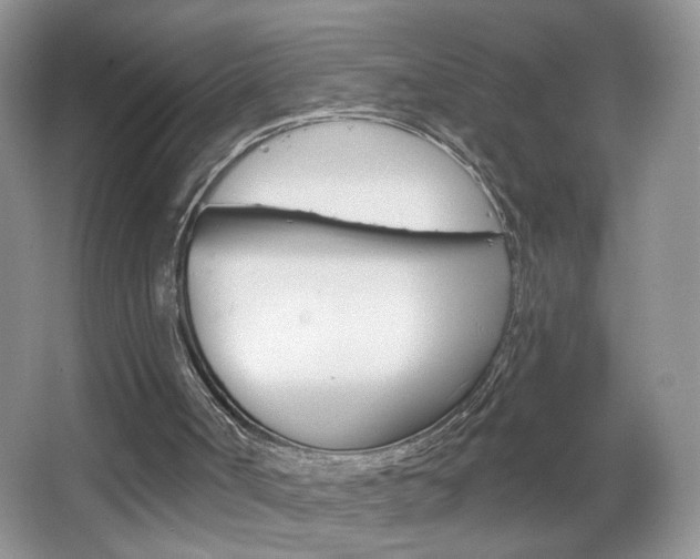 X0000067330002200603310910